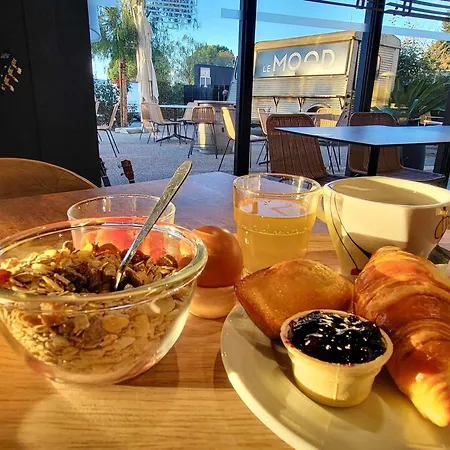 Ibis Petite Camargue Lunel (Herault)