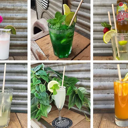 Ibis Petite Camargue 류넬