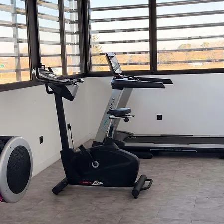 Ibis Petite Camargue فندق لونيه
