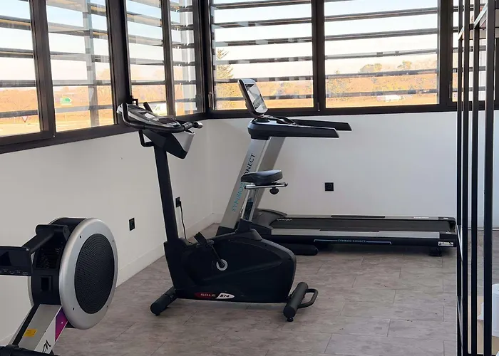 Ibis Petite Camargue