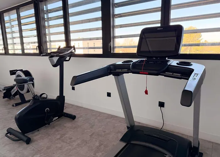 Ibis Petite Camargue Otel 3*